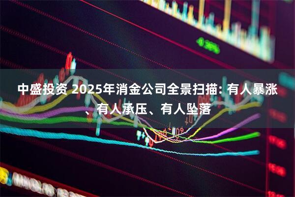 中盛投资 2025年消金公司全景扫描: 有人暴涨、有人承压、有人坠落