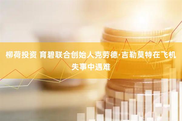 柳荷投资 育碧联合创始人克劳德·吉勒莫特在飞机失事中遇难