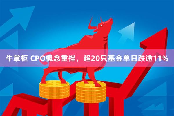 牛掌柜 CPO概念重挫，超20只基金单日跌逾11%
